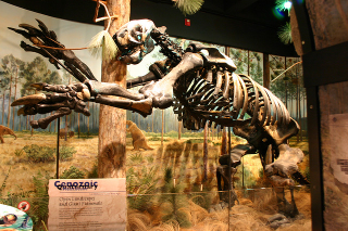Illustration for article titled South Carolina and the Mammoth